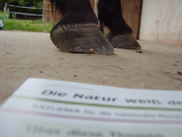 von rechts von rechts